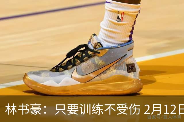 林书豪：只要训练不受伤 2月12日就会打第一场
